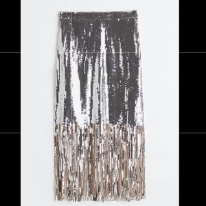 H&M Sequin Skirt